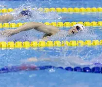 包含赛地聚焦——德甲今夜热度飙升，新疆广汇复出首秀，引发热议，数据趋势出现新变化的词条